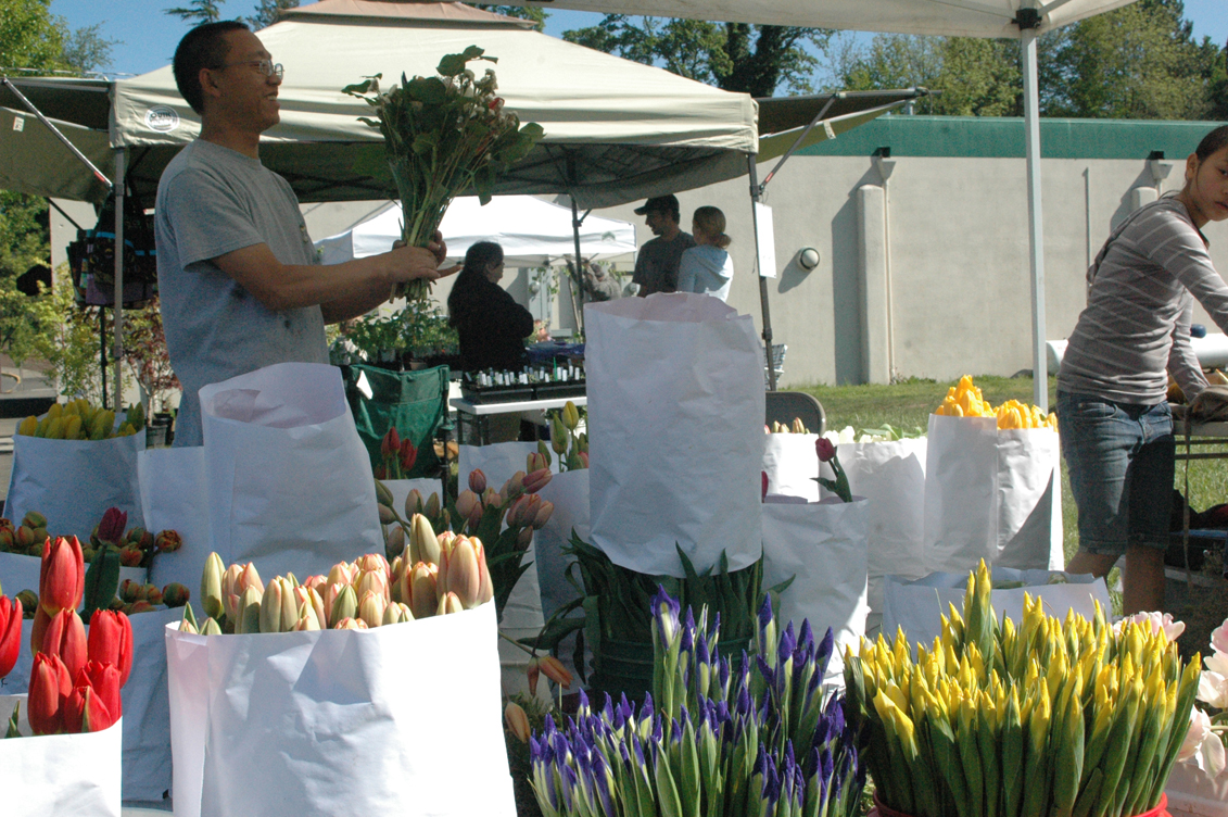 farmersmarket Play Estacada