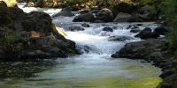 roaring river
