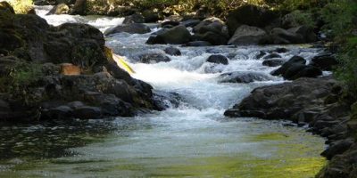 roaring river