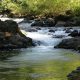 roaring river